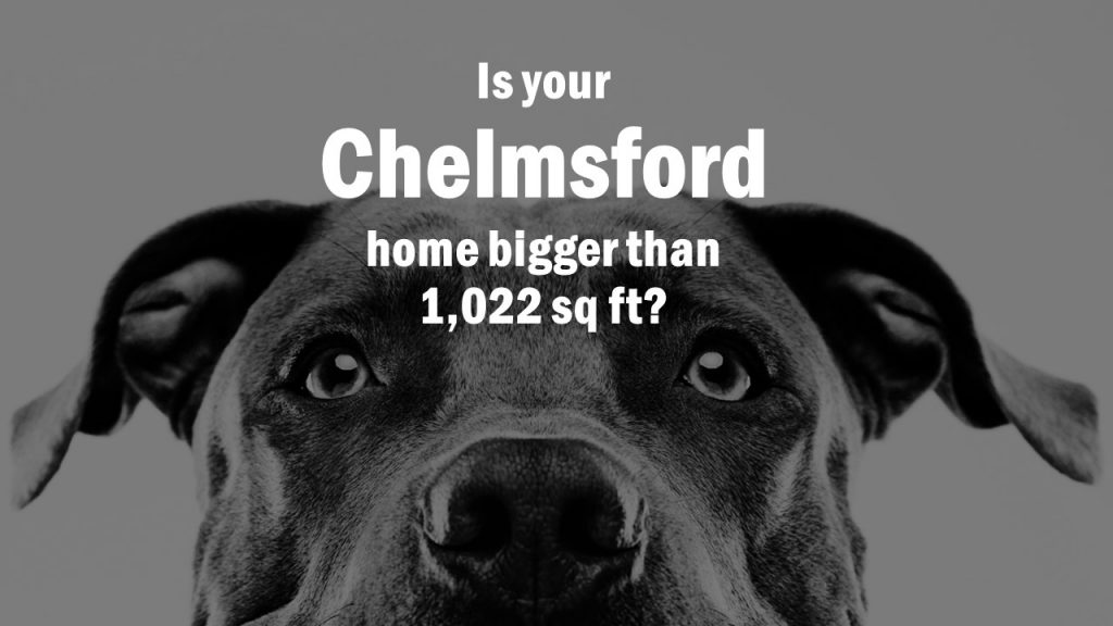Is your Chelmsford home bigger than 1,022 sq ft?