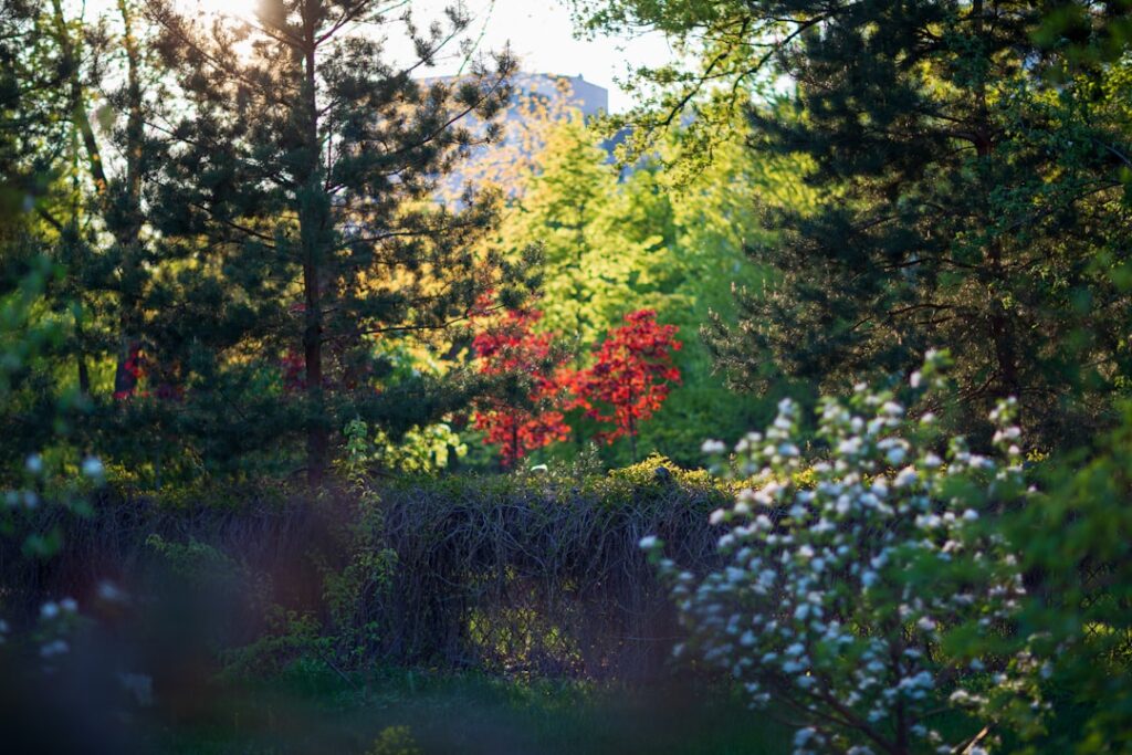 Create Your Spring Sanctuary: Garden Ideas for Your Home