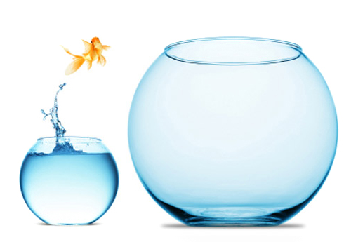 We’re expanding! We are looking to acquire another lettings agency